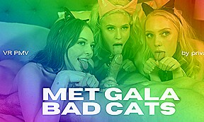 Met Gala Bad Cats – VR Porn PMV By Private Jet – PrivateJet